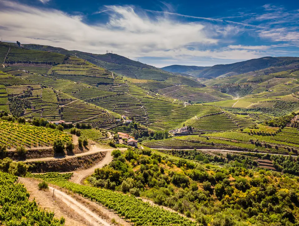 Quintas e Adegas no Douro